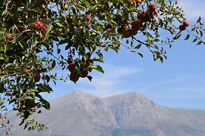 Villa Palentina Country House