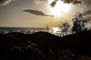 Harmonie Tropicale