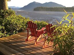 Black Bear Guesthouse