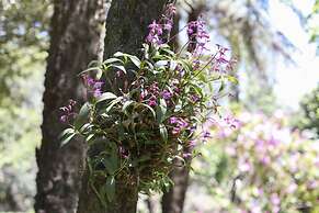 Olinda Country Cottages