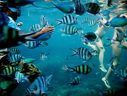 Breve Azurine Lagoon Retreat