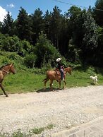 B&B da Ronald...a Pian del Papa