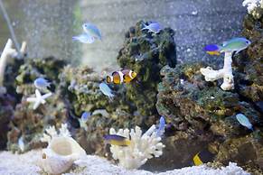 Almont Hotel Naha Kenchomae