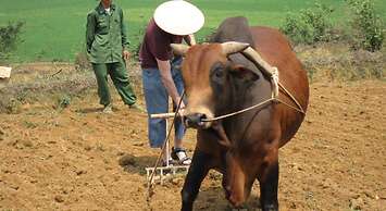 Moon Garden Homestay