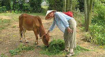 Moon Garden Homestay