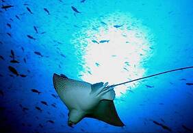 Royal Palm Galapagos, Curio Collection Hotel by Hilton