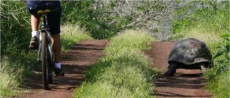 Royal Palm Galapagos, Curio Collection Hotel by Hilton