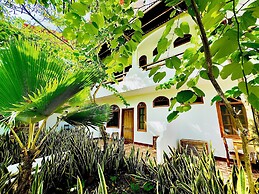 The Galapagos Pearl B&B