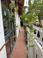Davi Phu Quoc Guest House