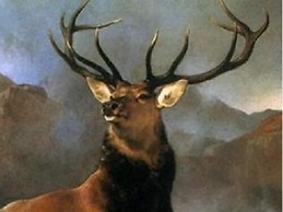 Highland Bear Lodge & Luxury Bear Huts