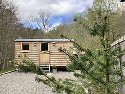 Highland Bear Lodge & Luxury Bear Huts
