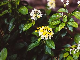 Relais Circo Massimo