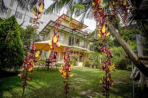 Posada Las Bromelias