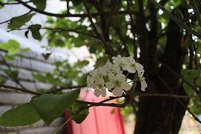 Entre Patios Hotel Boutique