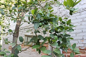 Entre Patios Hotel Boutique