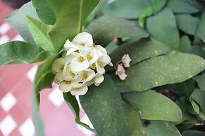 Entre Patios Hotel Boutique