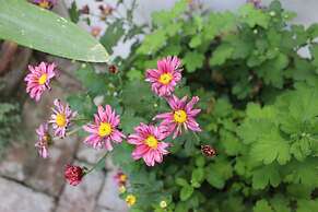 Entre Patios Hotel Boutique