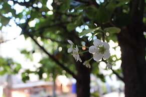 Entre Patios Hotel Boutique