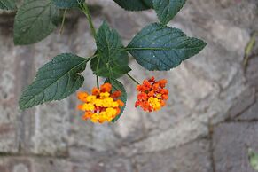 Entre Patios Hotel Boutique