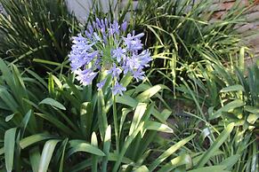 Entre Patios Hotel Boutique