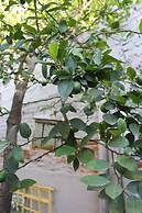 Entre Patios Hotel Boutique