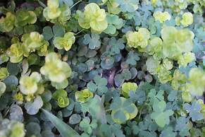 Entre Patios Hotel Boutique