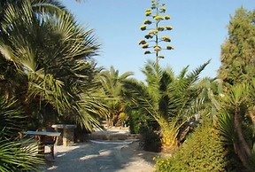 Medusa Beach Resort and Suites