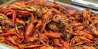 Holiday Inn Haikou West Coast by IHG