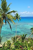 Taveuni Palms