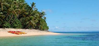 Taveuni Palms