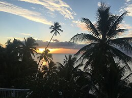 Taveuni Palms