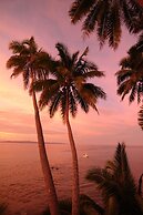 Taveuni Palms