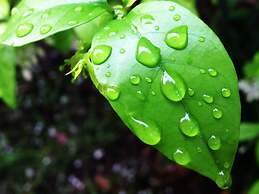 Baan Siriporn Resort