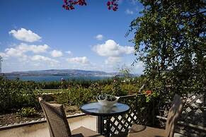 Dionysos Village Resort