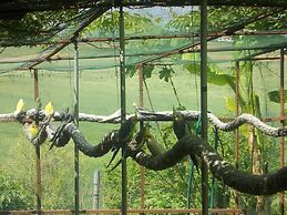 Agriturismo Bosco del Gal