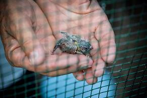 Agriturismo Bosco del Gal