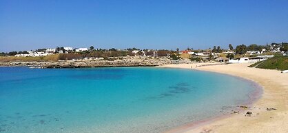 Il Giardino delle Jacaranda