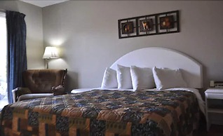Motel Les Pignons Verts