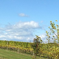 North Fork Guest House