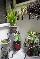 Hostal Guatefriend's - Hostel