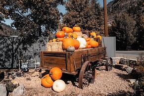 Ouray Riverside Resort - Inn & Cabins