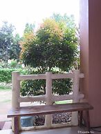 Alexis Cliff Dive Resort