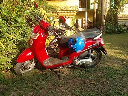 Golden Triangle Palace