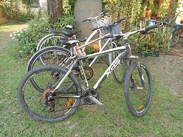 Golden Triangle Palace