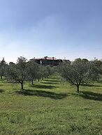 Agriturismo Macesina