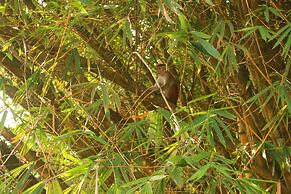 La Villa Guest House