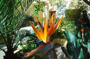 Casa Mestre Guesthouse