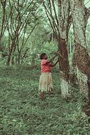 Plantation Villa Ayurveda Yoga Resort