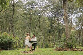 Plantation Villa Ayurveda Yoga Resort