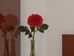 Kripis Studios Thessaloniki